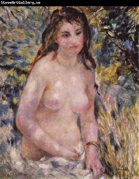 Pierre-Auguste Renoir Akt in der Sonne